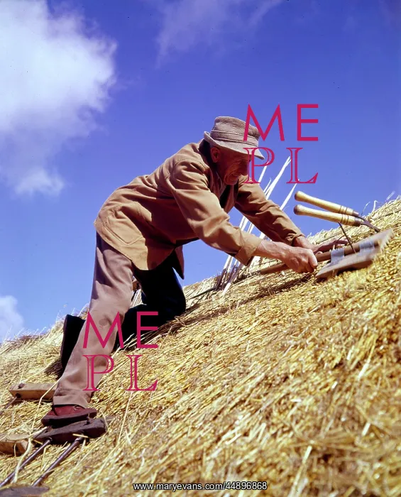  : Man thatching a roof