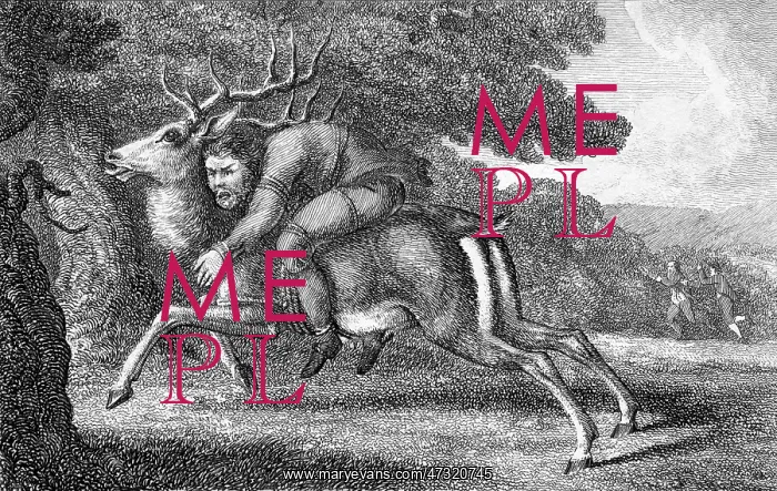 : MAN TIED TO STAG / TORTURE : MAN TIED TO STAG / TORTURE