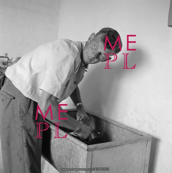 : Man At A Trough : Man At A Trough