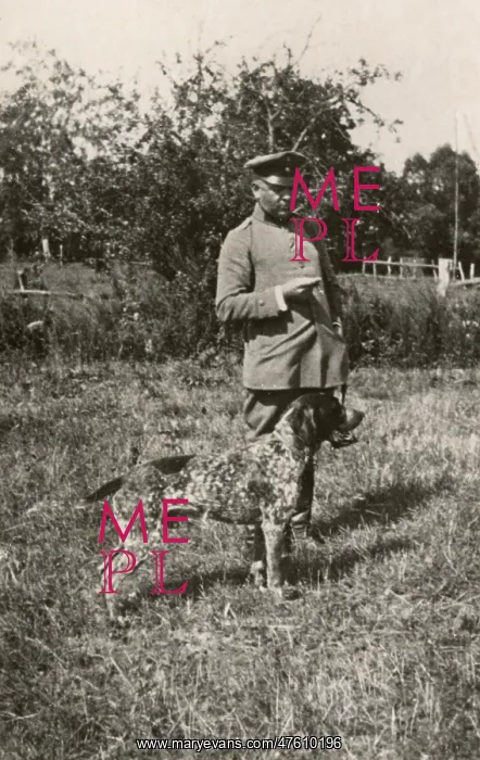  : Man in uniform with a dog in a field, Germany