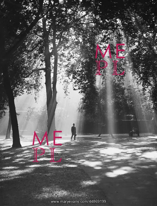  : Man Walks in Sunshine