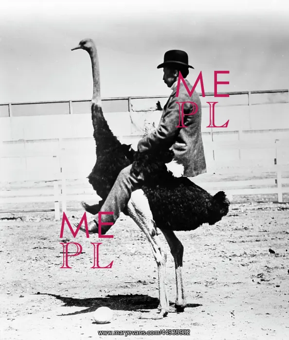 : Man Wearing Bowler Hat Riding on Back of Ostrich : Man Wearing Bowler Hat Riding on Back of Ostrich