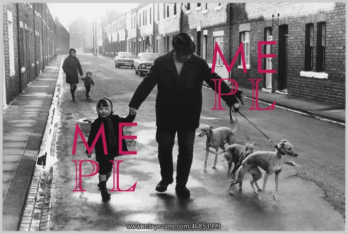 : MAN AND WHIPPETS : MAN AND WHIPPETS