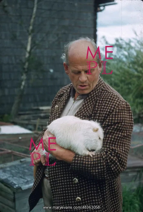 : Man with white coypu : Man with white coypu