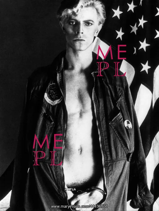 : The Man Who Fell To Earth (1976) : The Man Who Fell To Earth (1976)