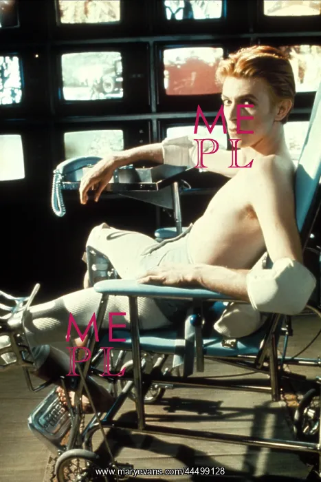 : The Man Who Fell To Earth (1976) : The Man Who Fell To Earth (1976)