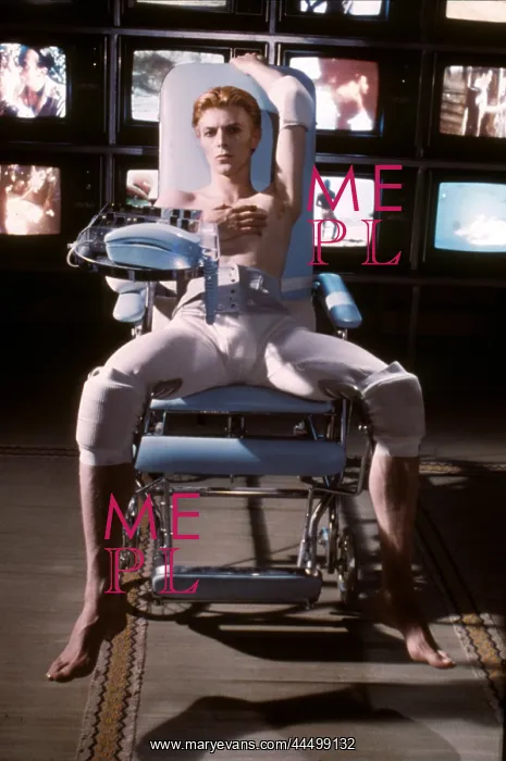: The Man Who Fell To Earth (1976) : The Man Who Fell To Earth (1976)