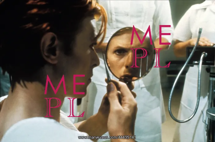 : The Man Who Fell To Earth (1976) : The Man Who Fell To Earth (1976)