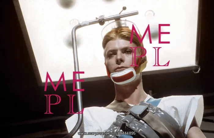 : The Man Who Fell To Earth : The Man Who Fell To Earth
