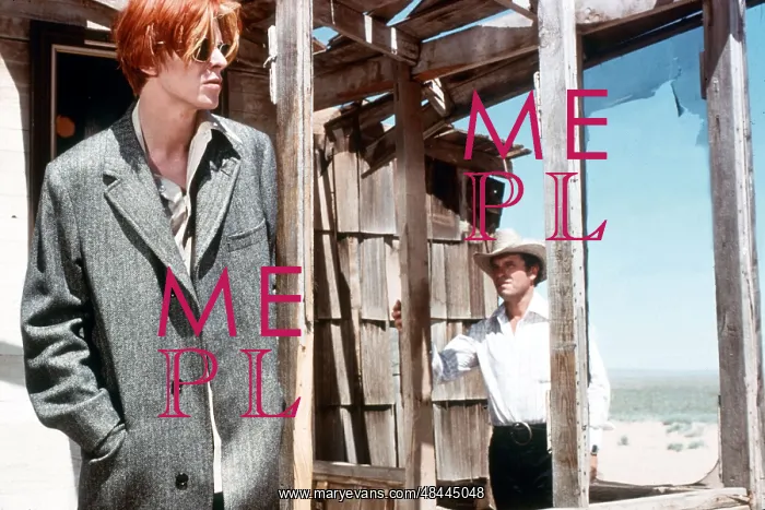 : THE MAN WHO FELL TO EARTH : THE MAN WHO FELL TO EARTH