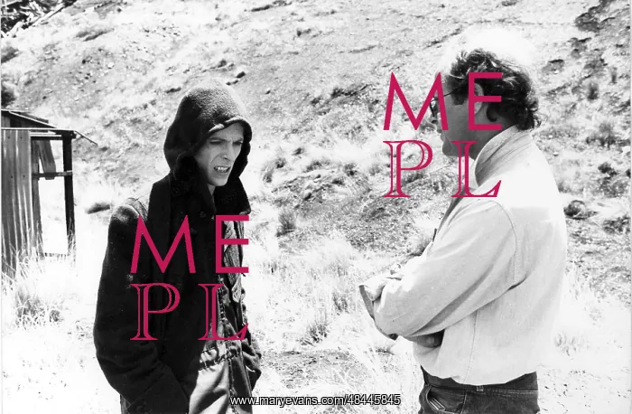 : THE MAN WHO FELL TO EARTH : THE MAN WHO FELL TO EARTH