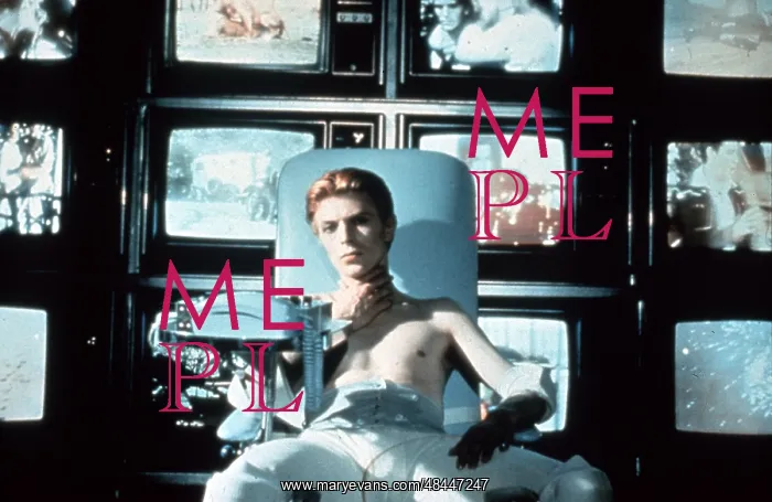 : THE MAN WHO FELL TO EARTH : THE MAN WHO FELL TO EARTH