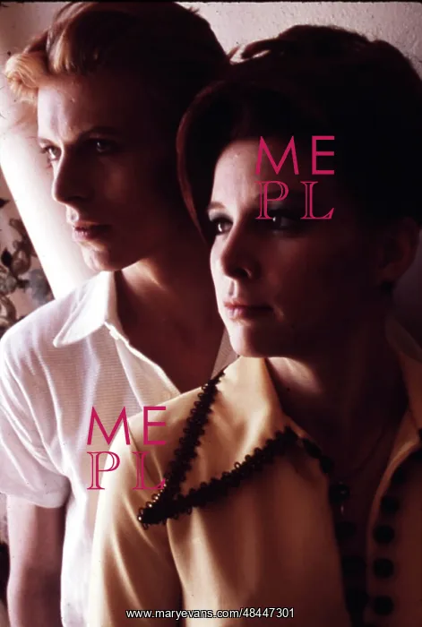 : THE MAN WHO FELL TO EARTH : THE MAN WHO FELL TO EARTH