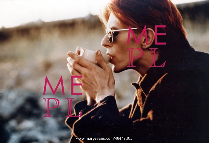 : The Man Who Fell To Earth : The Man Who Fell To Earth