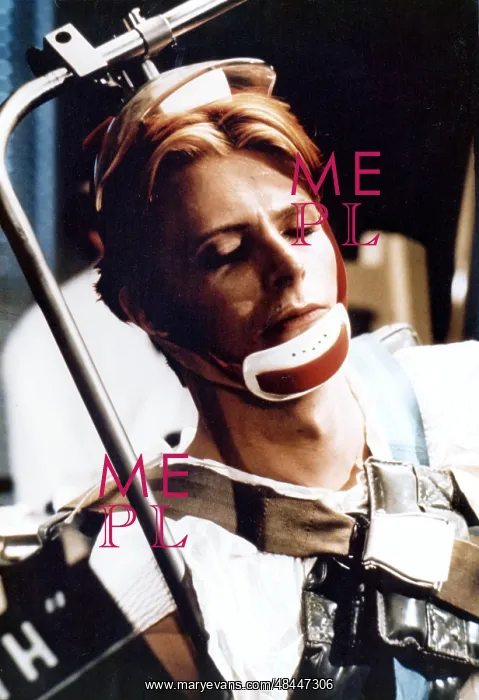 : The Man Who Fell To Earth : The Man Who Fell To Earth