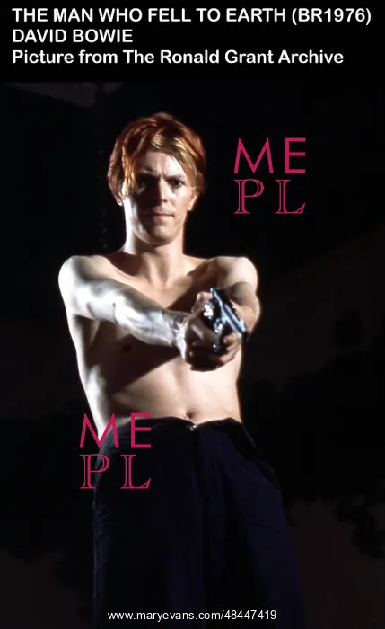 : THE MAN WHO FELL TO EARTH : THE MAN WHO FELL TO EARTH