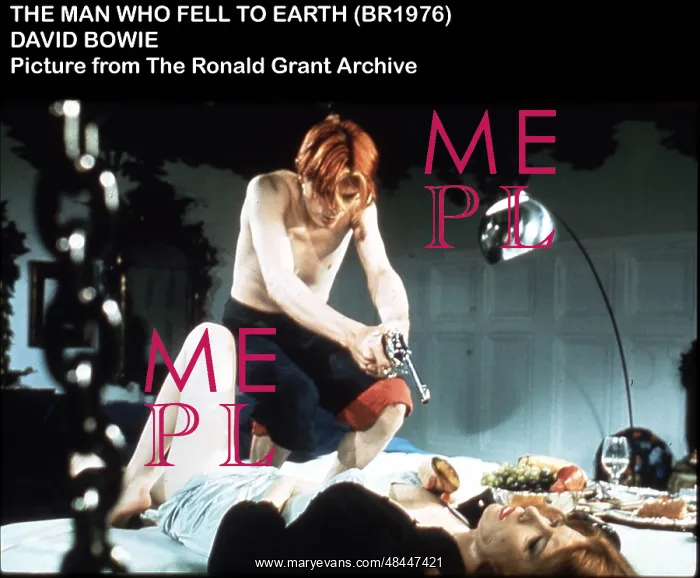 : THE MAN WHO FELL TO EARTH : THE MAN WHO FELL TO EARTH