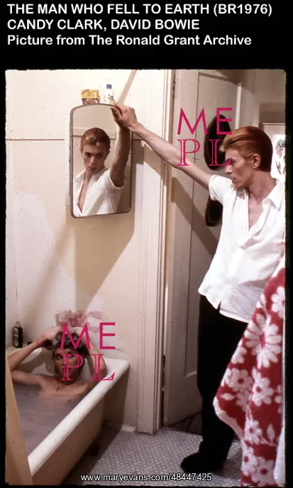 : THE MAN WHO FELL TO EARTH : THE MAN WHO FELL TO EARTH