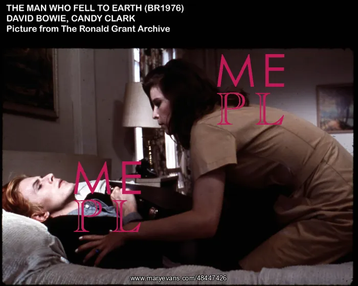 : THE MAN WHO FELL TO EARTH : THE MAN WHO FELL TO EARTH