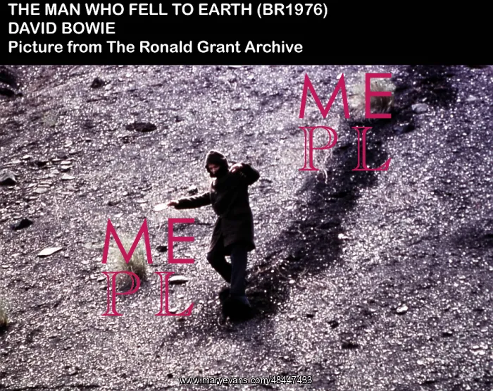 : The Man Who Fell To Earth : The Man Who Fell To Earth