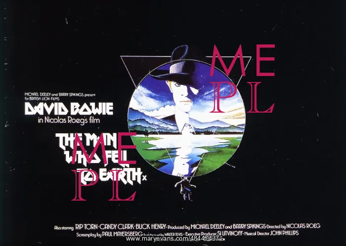 : THE MAN WHO FELL TO EARTH : THE MAN WHO FELL TO EARTH