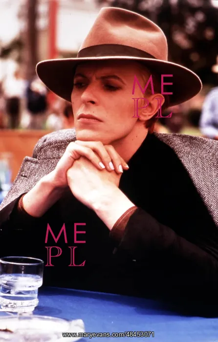 : THE MAN WHO FELL TO EARTH : THE MAN WHO FELL TO EARTH