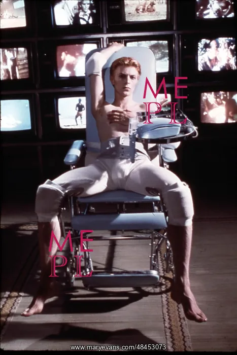 : THE MAN WHO FELL TO EARTH : THE MAN WHO FELL TO EARTH