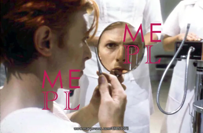 : THE MAN WHO FELL TO EARTH : THE MAN WHO FELL TO EARTH