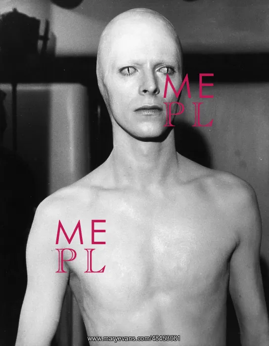 : THE MAN WHO FELL TO EARTH : THE MAN WHO FELL TO EARTH