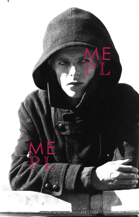 : THE MAN WHO FELL TO EARTH : THE MAN WHO FELL TO EARTH