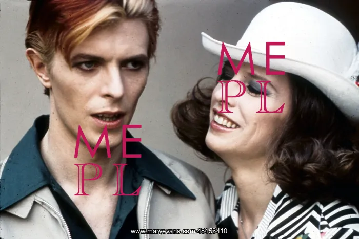 : The Man Who Fell To Earth : The Man Who Fell To Earth
