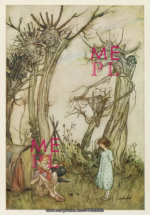 : MAN IN THE WILDERNESS : MAN IN THE WILDERNESS