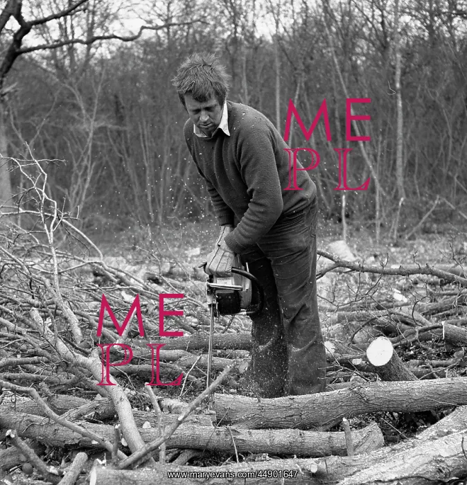: Man in a wood, using a chainsaw : Man in a wood, using a chainsaw