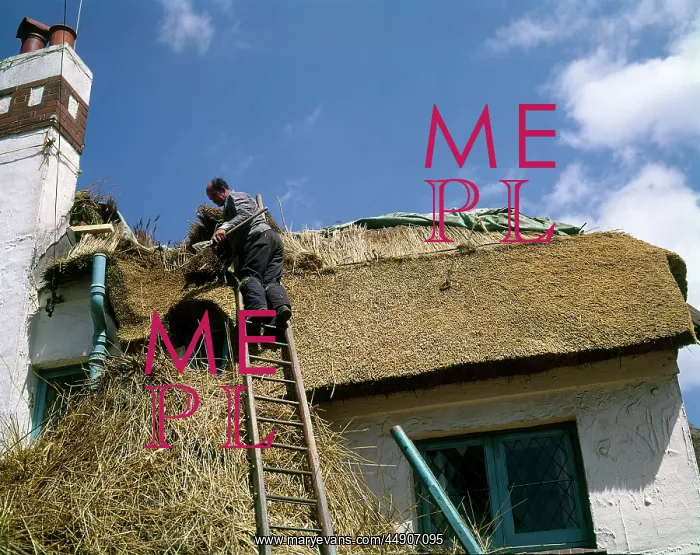  : Man at work thatching a roof, Devon
