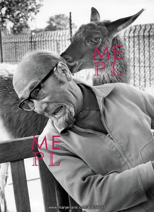 : Man at a zoo receives unexpected attention : Man at a zoo receives unexpected attention