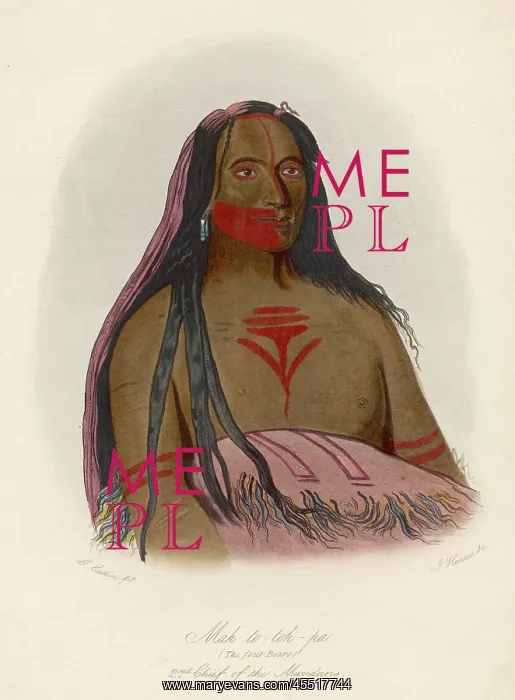 : MANDAN CHIEF : MANDAN CHIEF