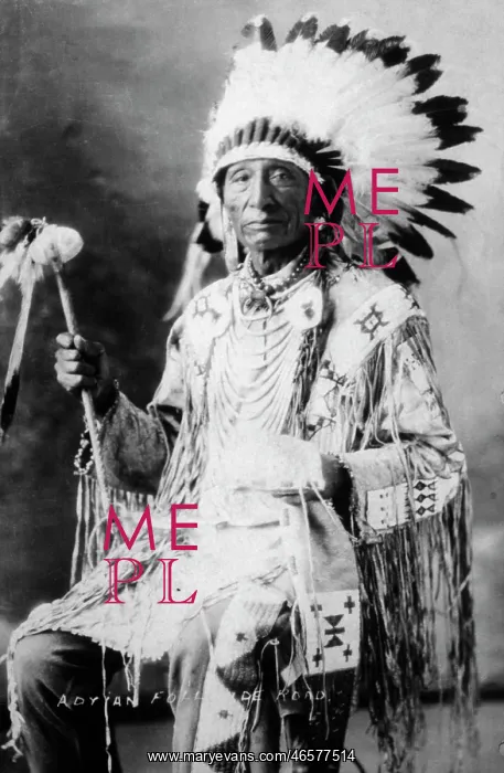  : Mandan Chief