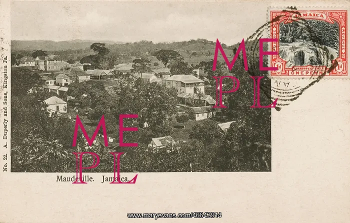 : Mandeville, Jamaica : Mandeville, Jamaica