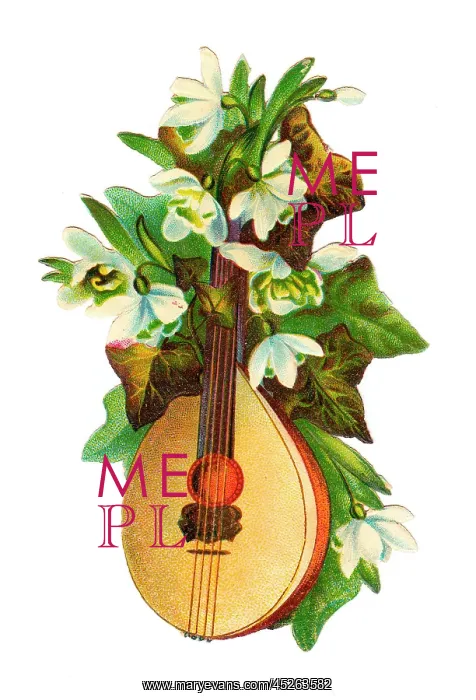 : Mandolin with white flowers on a Victorian scrap
