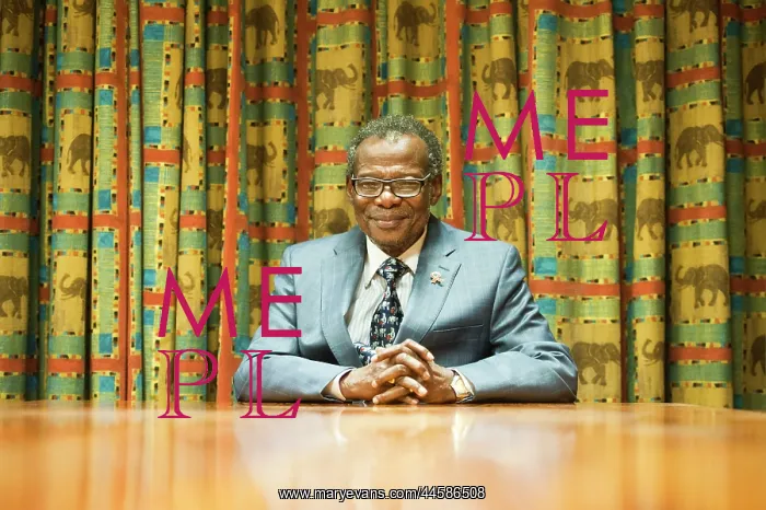 : Mangosuthu Buthelezi - IFP leader during an interview : Mangosuthu Buthelezi - IFP leader during an interview