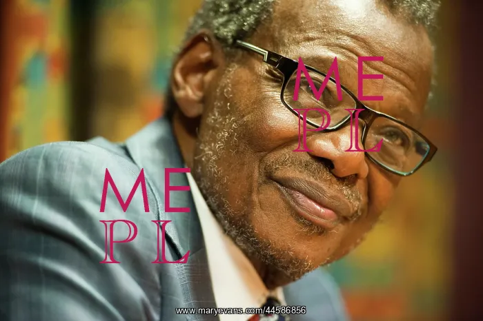 : Mangosuthu Buthelezi, IFP leader, during an interview : Mangosuthu Buthelezi, IFP leader, during an interview