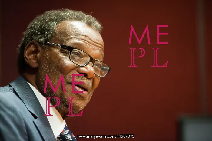 : Mangosuthu Buthelezi, IFP leader, during an interview : Mangosuthu Buthelezi, IFP leader, during an interview