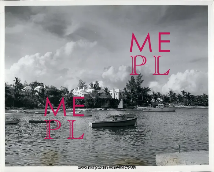 : Mangrove Bay, Bermuda : Mangrove Bay, Bermuda