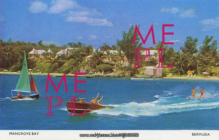 : Mangrove Bay, Bermuda - Water-skiing : Mangrove Bay, Bermuda - Water-skiing