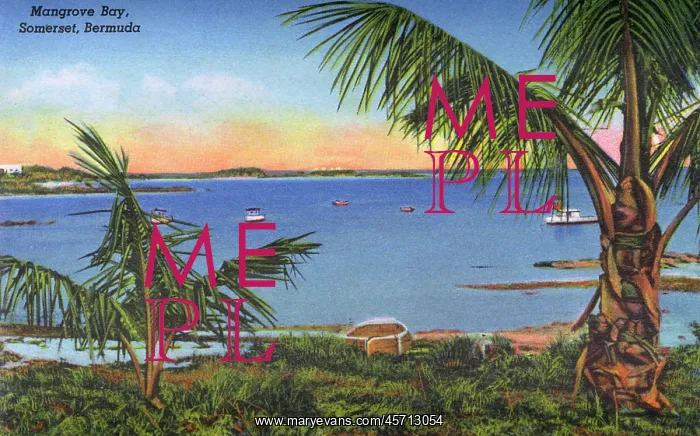  : Mangrove Bay, Somerset, Bermuda