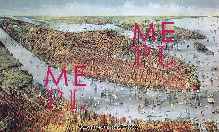 : Manhattan and Brooklyn, 19th Century : Manhattan and Brooklyn, 19th Century