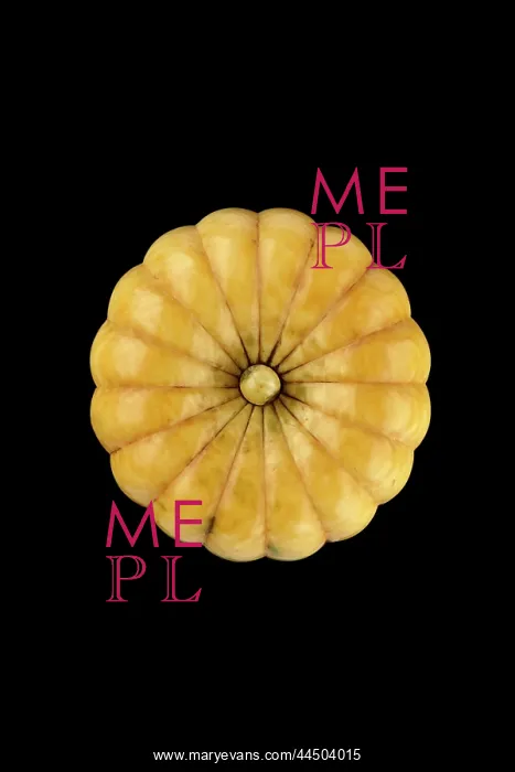 : Manju netsuke in the form of a stylised chrysanthemum : Manju netsuke in the form of a stylised chrysanthemum