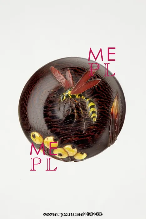 : Manju netsuke with wasp and berries : Manju netsuke with wasp and berries