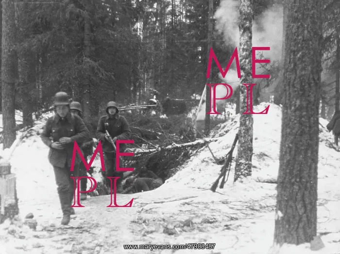 : Mannerheim line WWII : Mannerheim line WWII