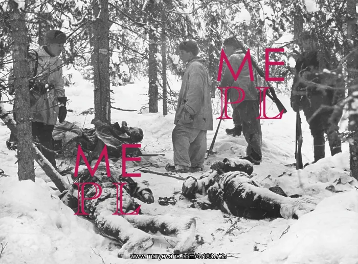  : Mannerheim line WWII